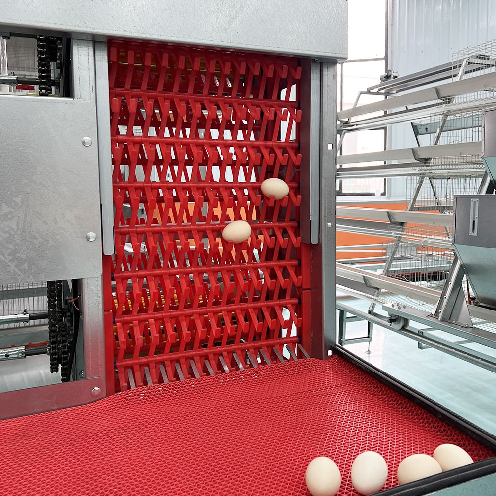 10000 Birds Laying Hens Automatic Breeding Poultry Farming System 4 Tier Layer Animal Egg Battery Chicken Cage for Sale