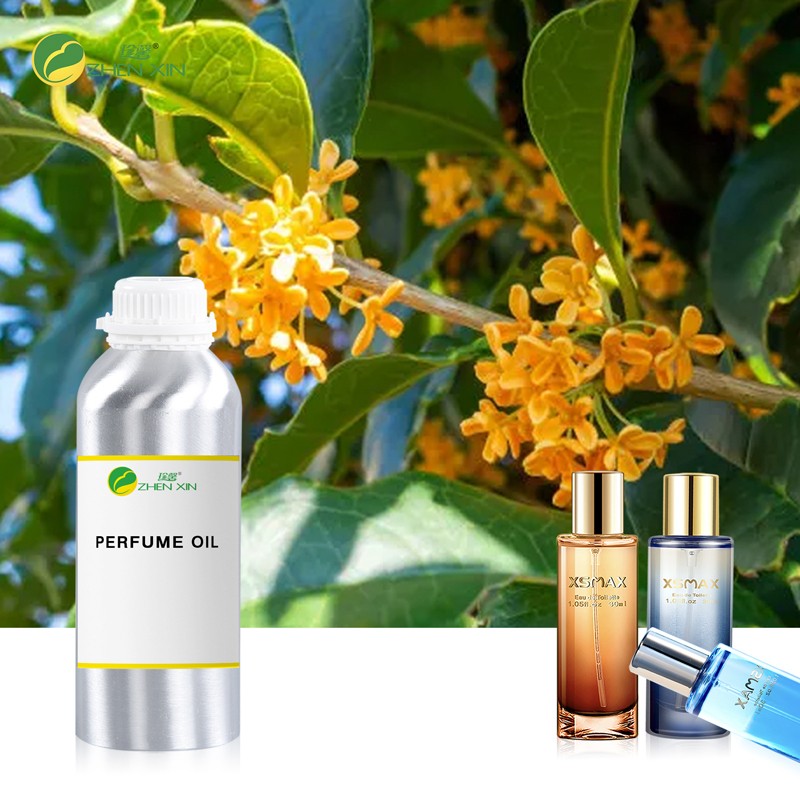 Paris Famous Brand Perfume Body Spray Fragrance Oil Cinnamon Raw Material Fragrance Perfume Oil