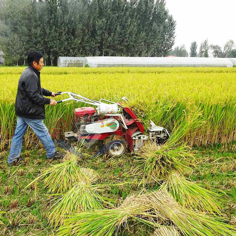 Small Harvesting Machine Wheat Rice Harvester Reaper Binder 2 Row Grass Paddy Cutter Clover Cortadora De Alfalfa Farm Use